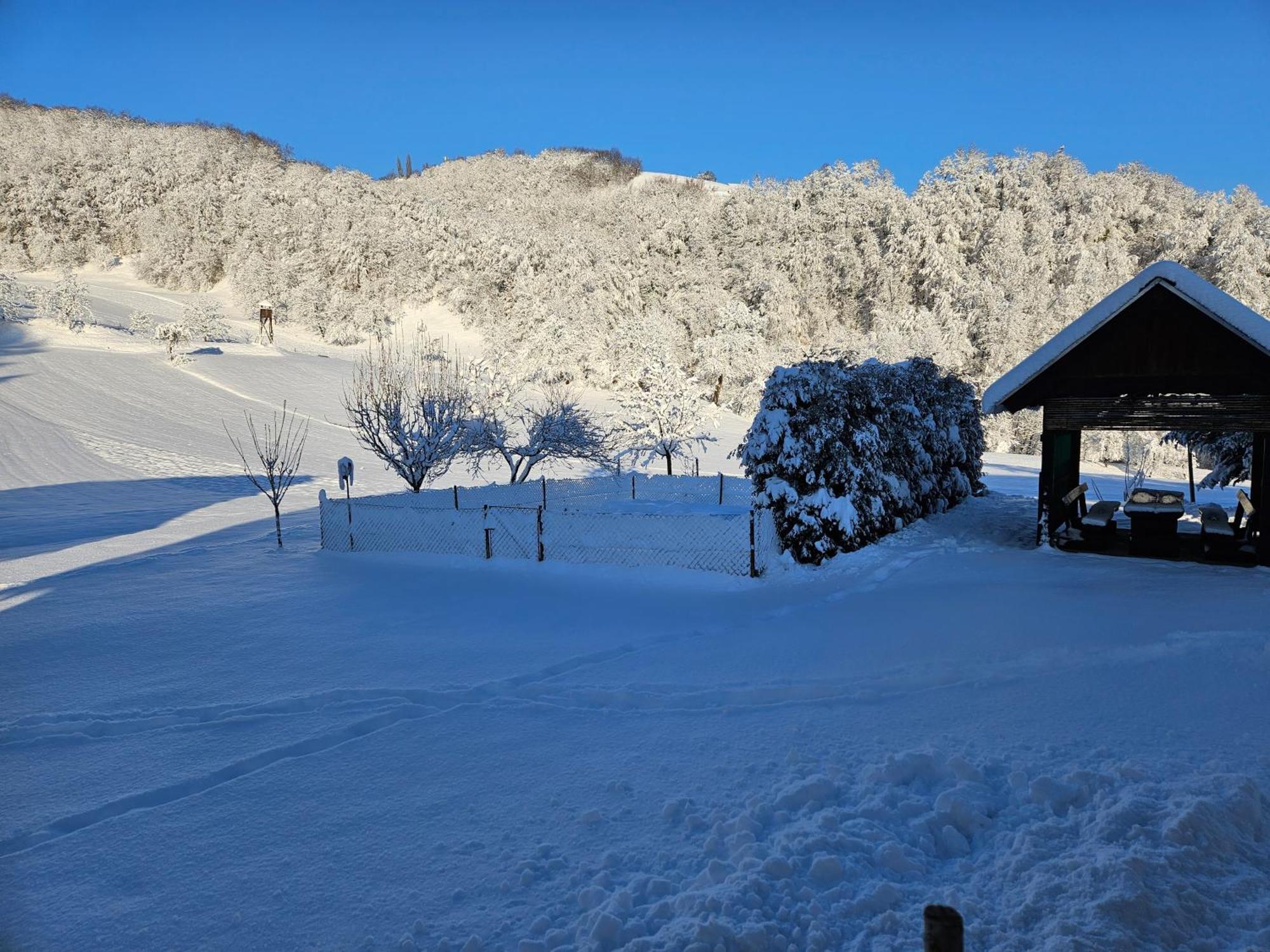 Francek House Podcetrtek Βίλα Buce Εξωτερικό φωτογραφία